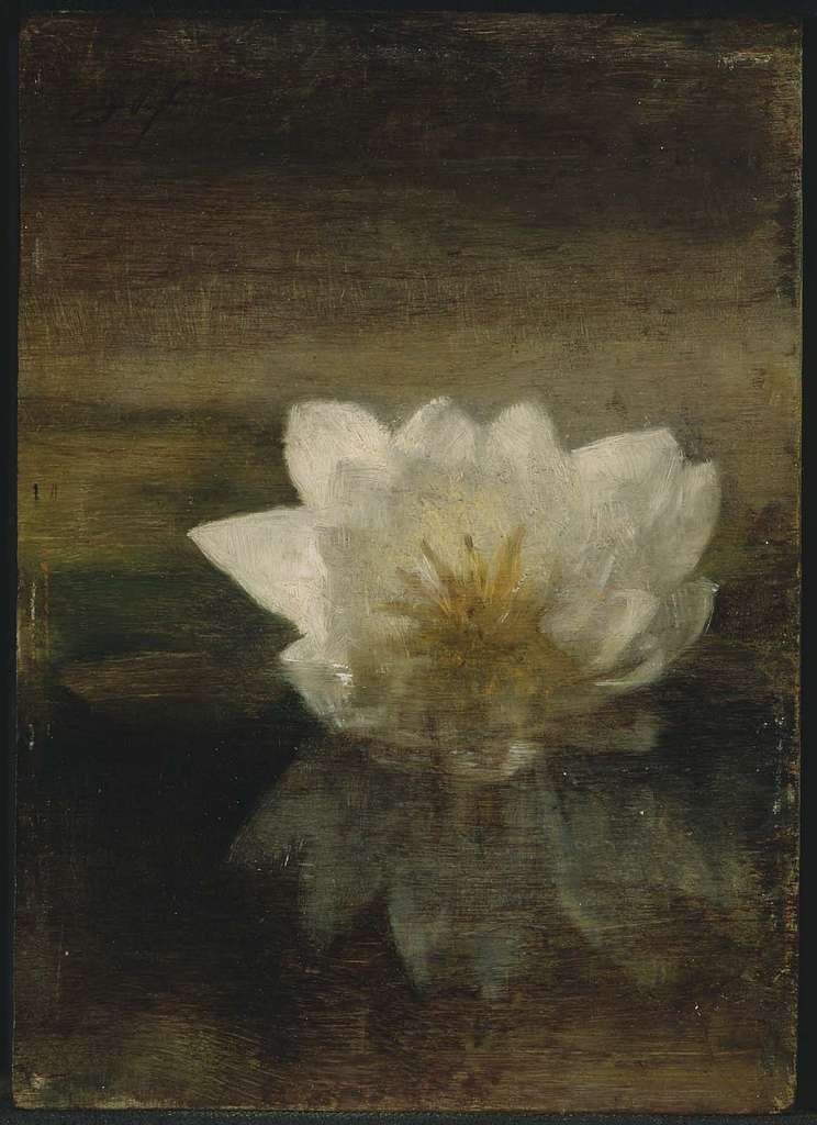 john-la-farge-water-lily-res2793-museum-of-fine-arts-c46f70 John La Farge Water Lily Res2793 Museum Of Fine Arts C46f70
