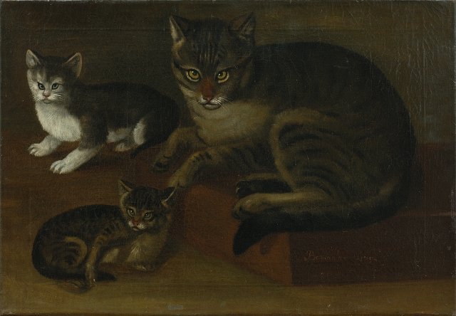 cats by johann baumann cdc67a