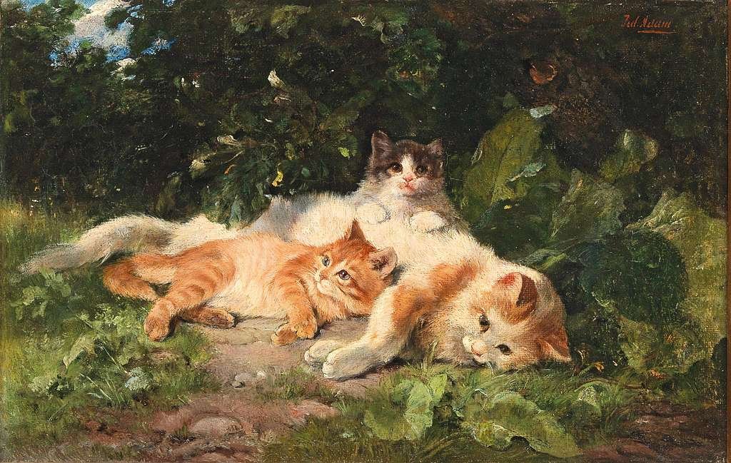 julius adam cat with her kittens 1c78d9