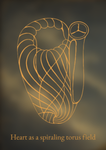 Lion Heart Immersion heart as a spiraling torus