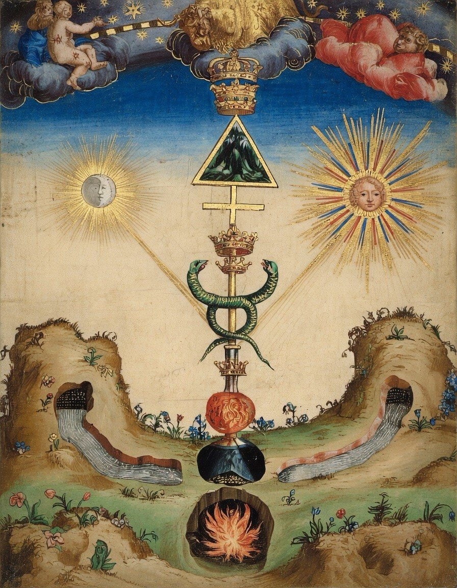 cosmos 1252074890